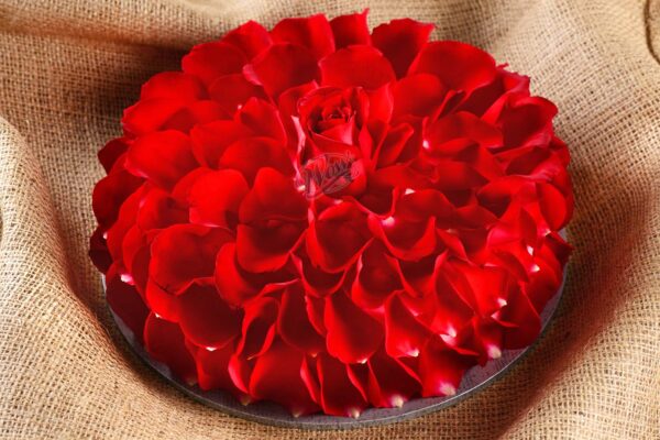Rose Cake