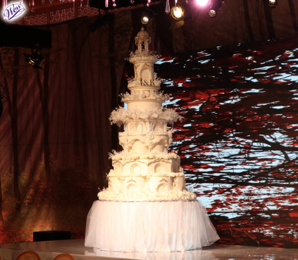 Wedding Cake (2)