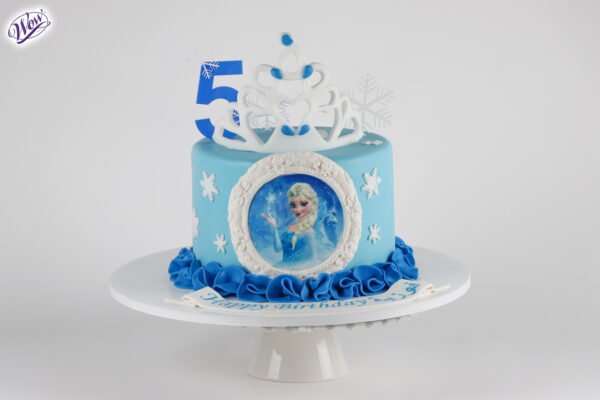 Girl Themed Cake (4)